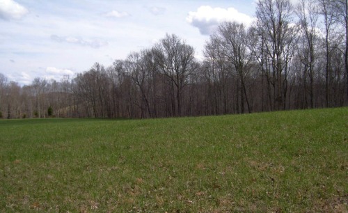 spring-pastures